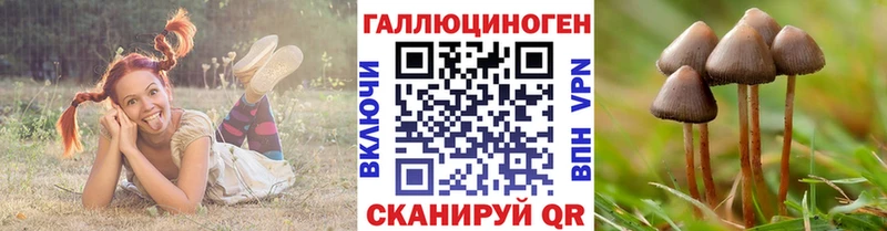Псилоцибиновые грибы MAGIC MUSHROOMS  Дигора 
